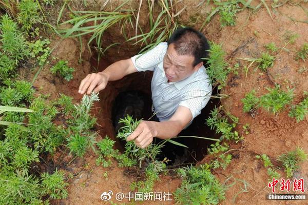 高空舰队遭遇战应该怎么打