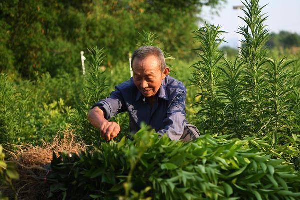 荒野大镖客2死眼自动标记关闭